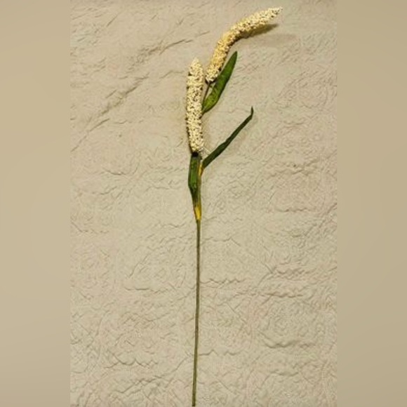 *Cream Millet Stem, 30” Bundle of 3 - Picture 7 of 10